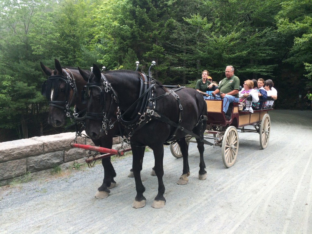 Horse drawn carriage crossing a carriage road bridge.